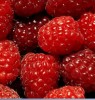 r@spberry