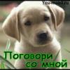 Lapa_Vova