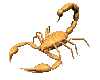 scorpionka