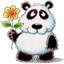 Alexy_a