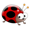 ladybird