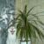 Metras
