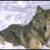 volf01