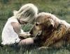 Консультации зоопсихолога по поведению и психологии собак