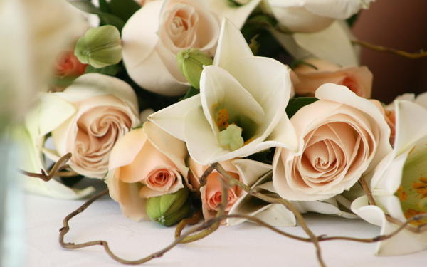 %C2%B3%F2%E0%BA%EC%EE+%E7+%E4%ED%E5%EC+%ED%E0%F0%EE%E4%E6%E5%ED%ED%FF+%CD%E0%F2%E0%EB%B3%FE