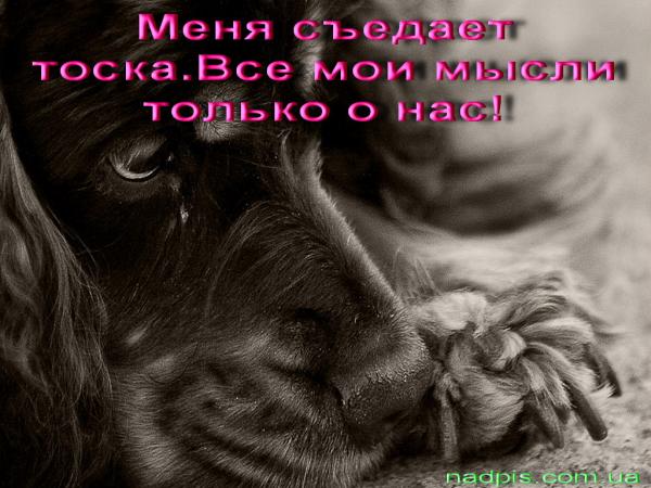 МУЖЧИНЕ - поздравления с днем рождения мужчины - в стихах Лечение за рубежом, России, реабилитация