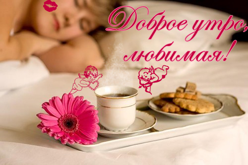 Доброе утро девушке цветы картинки Доброе утро девушке цветы картинки