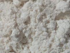 COCA1.TOP - ������ ��������� � �����? COCA1.TOP - ������� ����� ��������� � ����