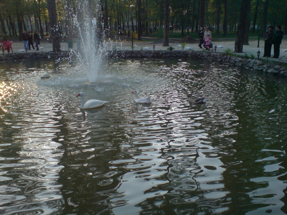 http://i.i.ua/photo/images/pic/1/1/2106111_204119ea.jpg