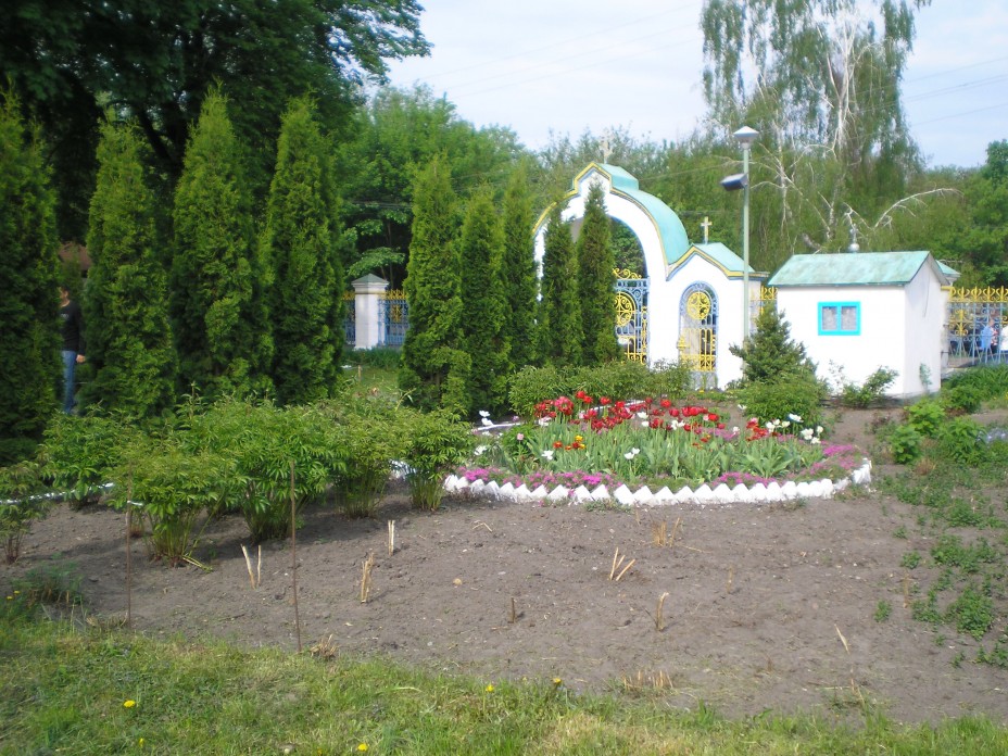 Размещенное изображение
