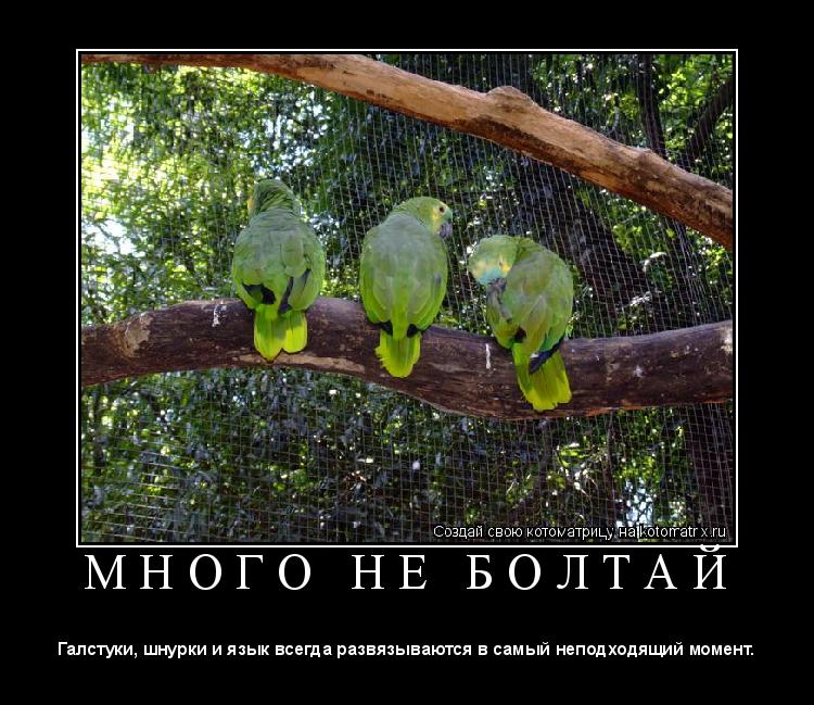Значение имени значение имени сария значение имени виктория бесплатно