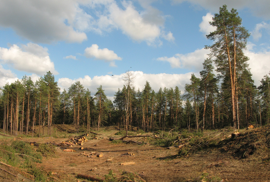 http://i.i.ua/photo/images/pic/9/4/3108549_49489bc2.jpg