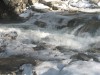 Размещенное изображение