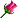 rose.gif