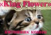 King Flower