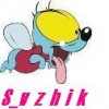 S_vzhik