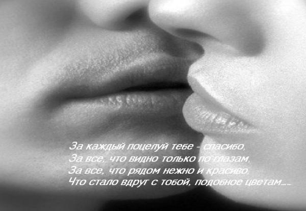 Утром разбужу поцелуем песня. Стих про губы мужчины. Стих про поцелуй мужчине. Стихи про любовь и губы. Стихи про поцелуй в губы мужчине.