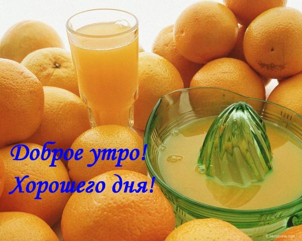 http://i.i.ua/cards/pic/3/3/102033.jpg