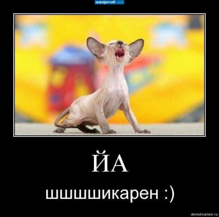Ющенко ТАК! - Цензор.НЕТ 7656
